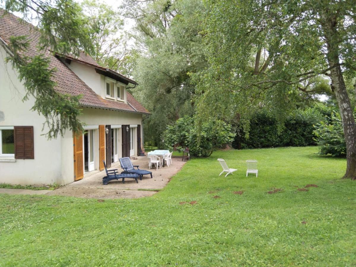Villa - Coulommiers - Parcs Des Felins - Provins Beautheil-Saints Exteriér fotografie